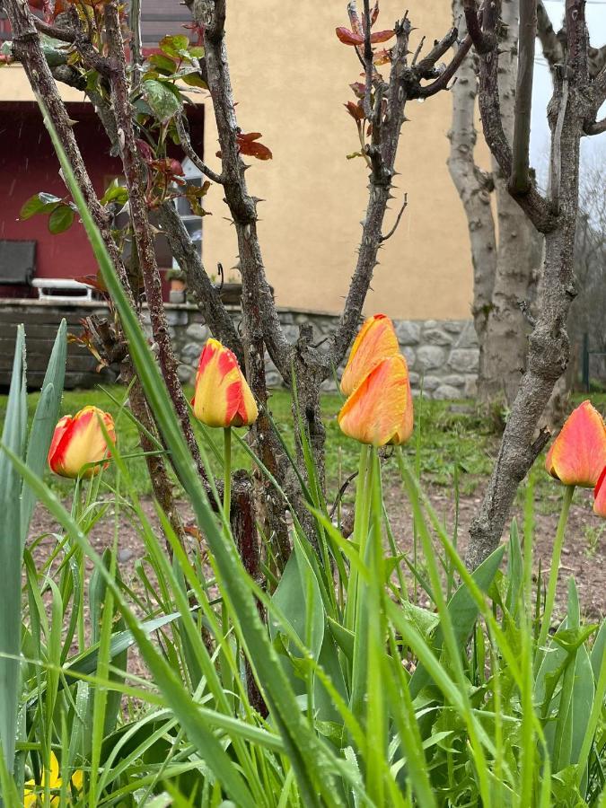 Casita Bonita Villa Castejón de Sos Dış mekan fotoğraf