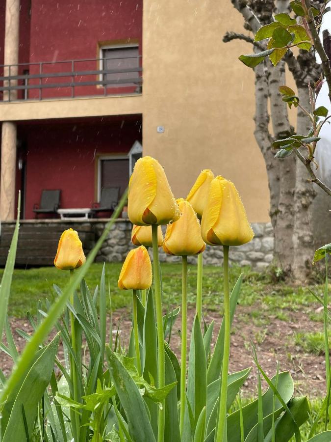 Casita Bonita Villa Castejón de Sos Dış mekan fotoğraf